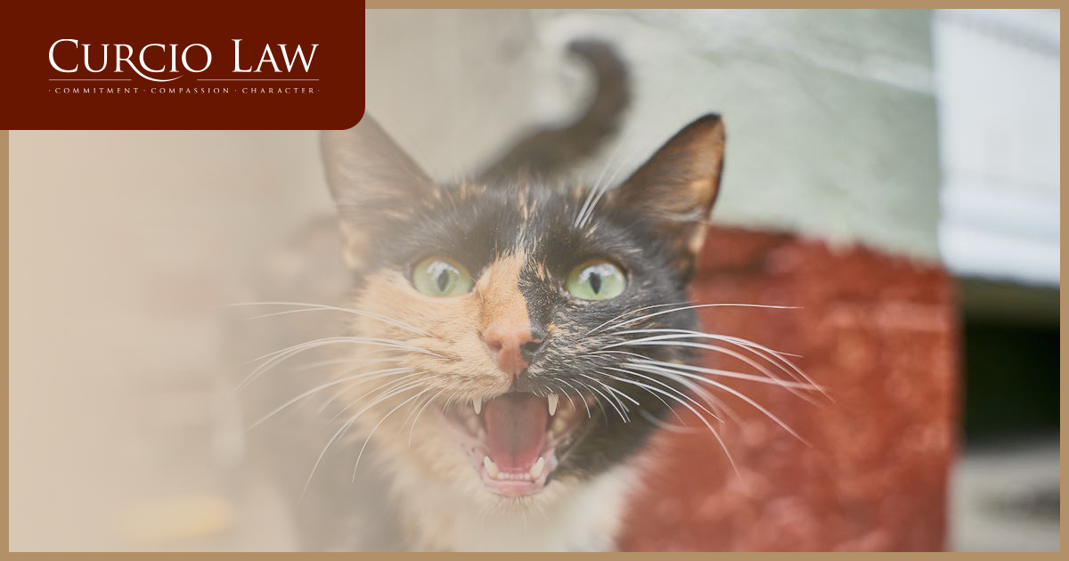 Filing a Claim for a Bite or Attack from Animals Other than Dogs